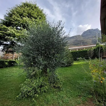 Mandello Panoramico דירה *