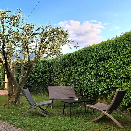 Mandello Panoramico * אבאדיה לריאנה
