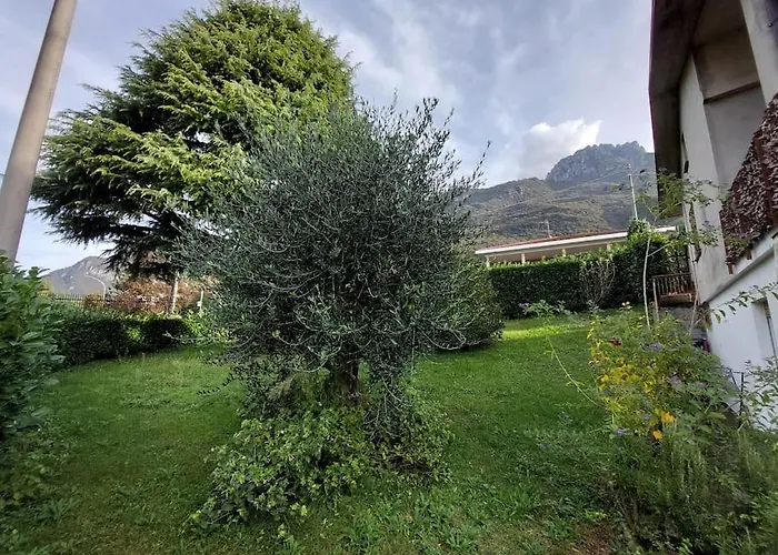 Mandello Panoramico 아파트 *